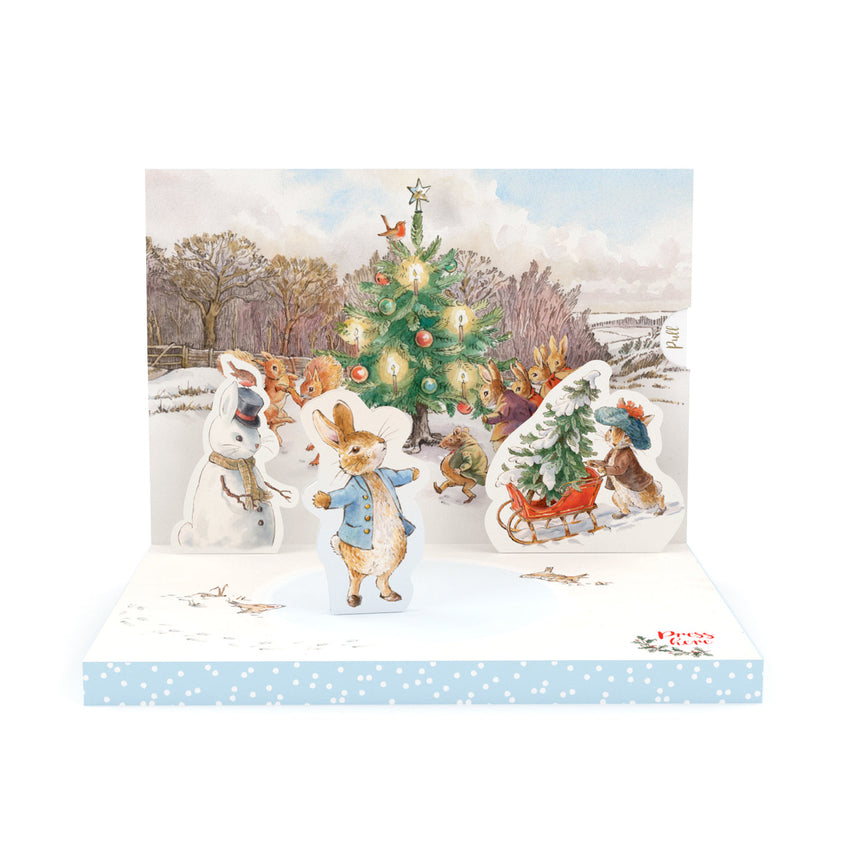 Peter Rabbit Music Box Card